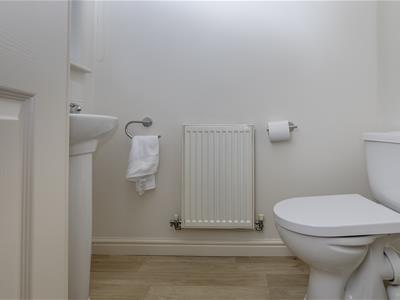 Picture 12